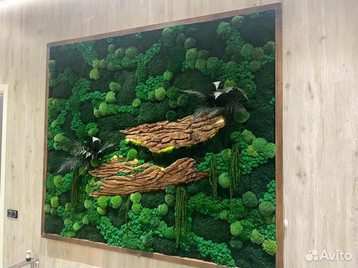 Фитокартина живая стена из мха
