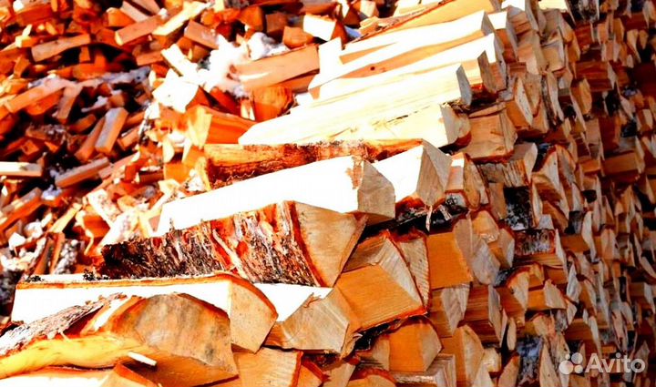 Дрова понимающих