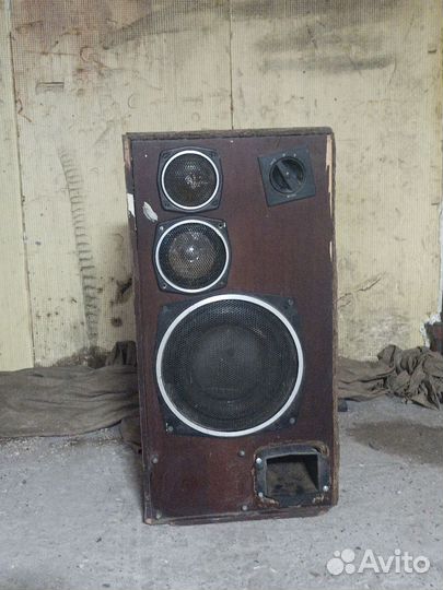 Колонка радиотехника S90