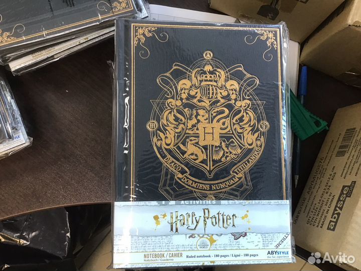 Lootcase Harry Potter / Гарри Поттер