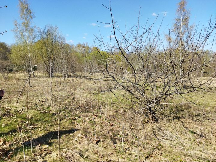 Участок 10 сот. (СНТ, ДНП)