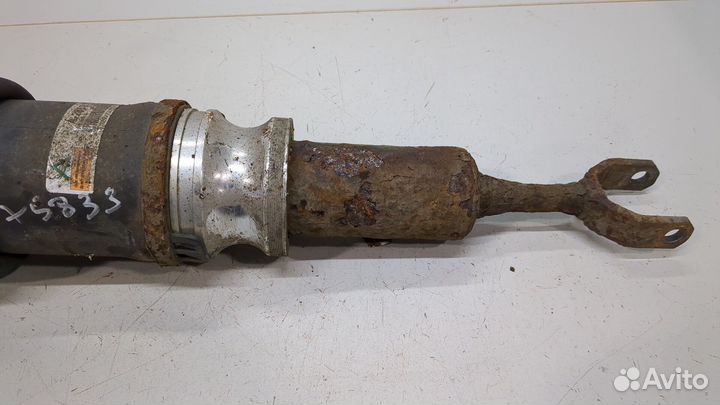 Амортизатор подвески Audi A6 (C5) Allroad, 2005