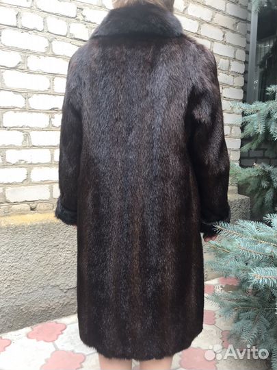 Шуба, сурок