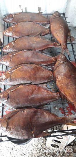 Рыба карась, лещь