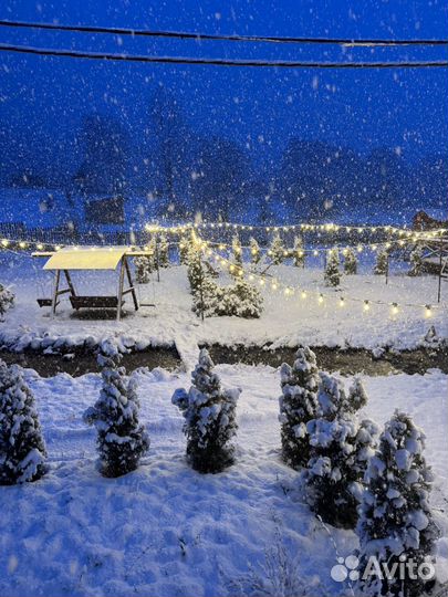 Отдых в Теберде (Домбай)