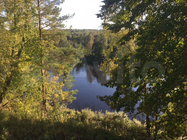 Участок 1,18 га (СНТ, ДНП)