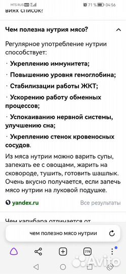 Мясо нутрии