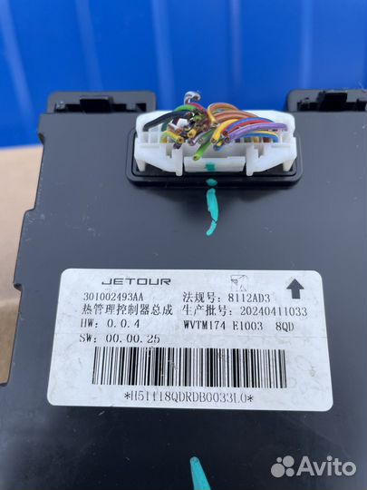 Блок управления Jetour 301002493AA