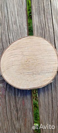 Спил дерева