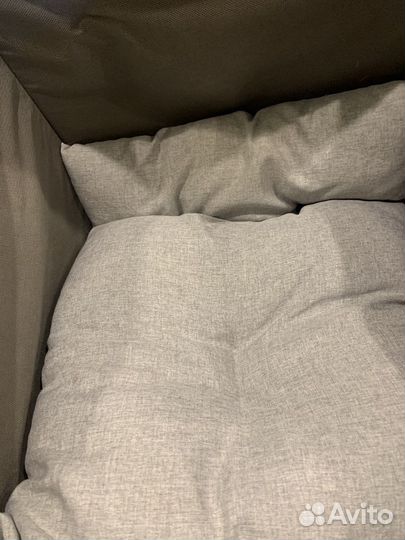 Одежда для собак