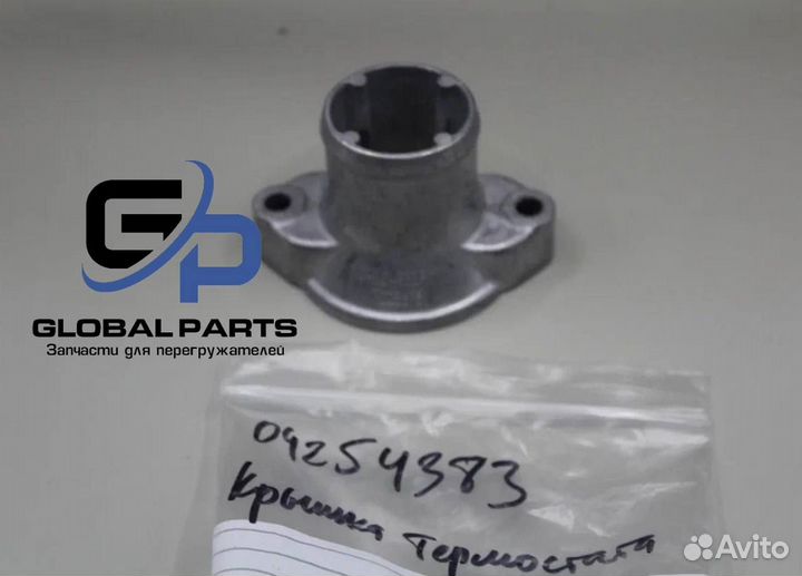 04254383 Крышка термостата