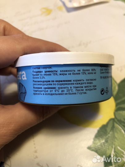 Сверчок замороженный