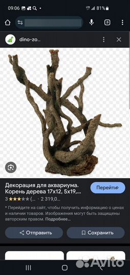 Декоративные корни