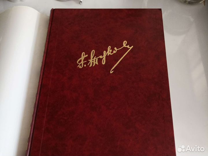 Георгий Жуков. Фотолетопись