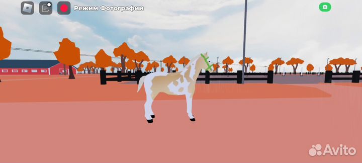 Прокачка лошадей в Horse Valley