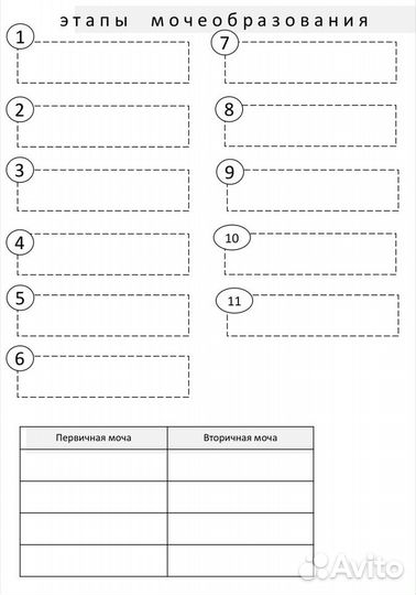 Репетитор по биологии