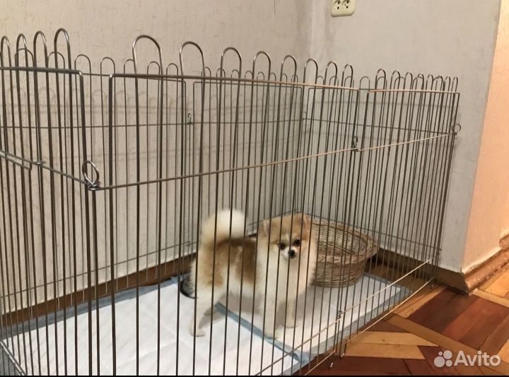 Вольер для собак