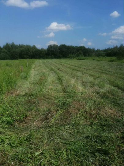 Участок 20 сот. (ИЖС)