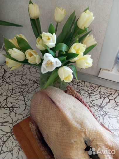 Гуси вяленые (каклаган) хэлэл