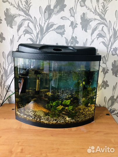 Аквариум с рыбками бу