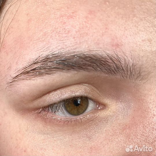 Мастер бровист