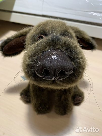 Песик Бублик