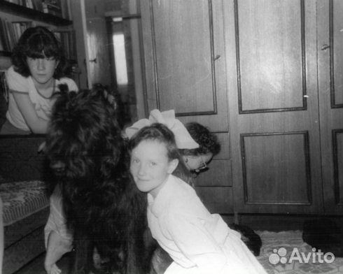 Передержка и уход за животными в Горячем Ключе