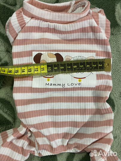 Одежда для животных