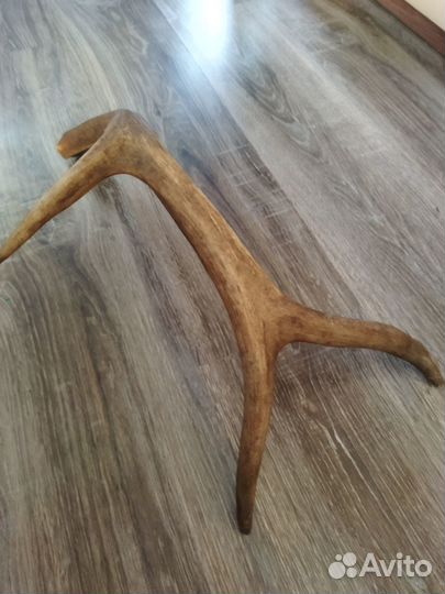 Рога изюбря