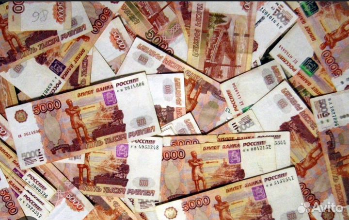 Инвестиции в доходный бизнес. Продажа аренды леса