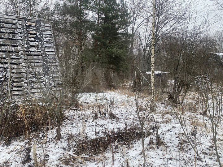 Участок 6 сот. (СНТ, ДНП)