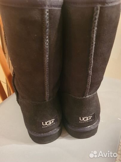 Ugg мужские