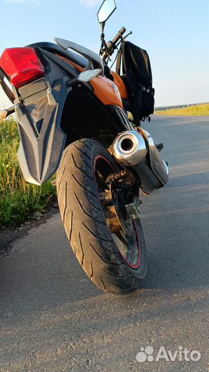 Stels flex 250