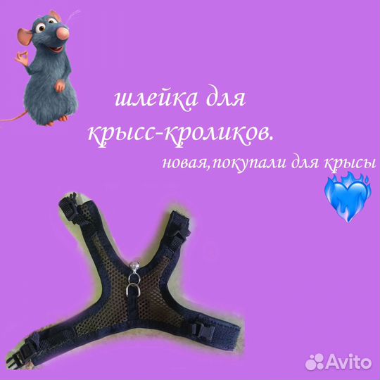 Шлецка для крыс и кроликов