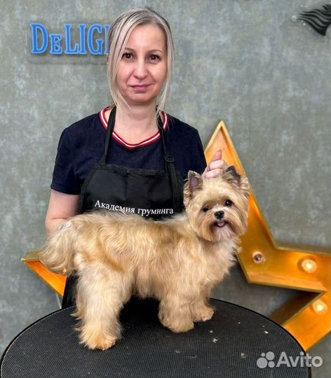 Грумер стрижка собак