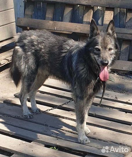 Отличный парень