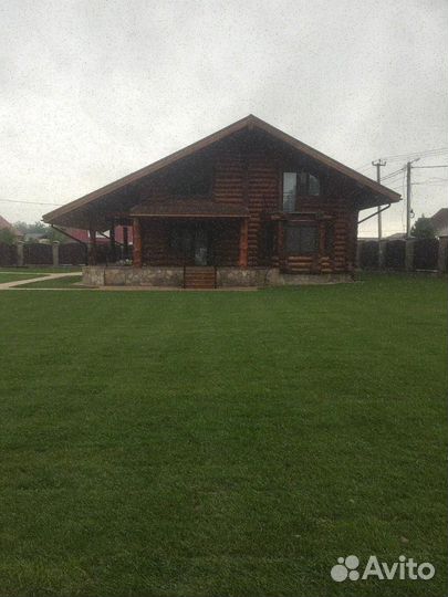 Рулонный газон/продажа/укладка