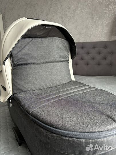 Коляска bebetto torino 3в1