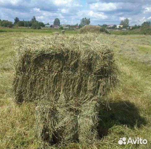 Сено в тюках