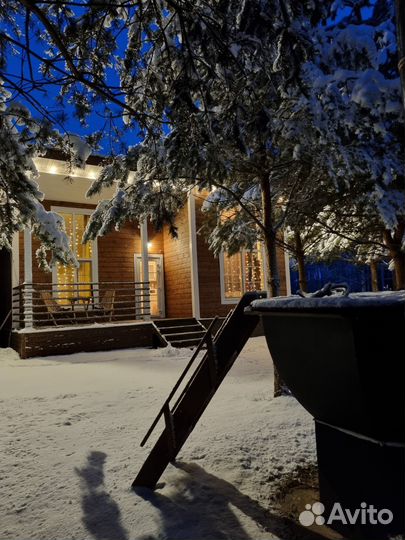 Веники пихта