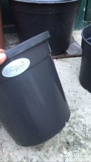 Цветочные горшки