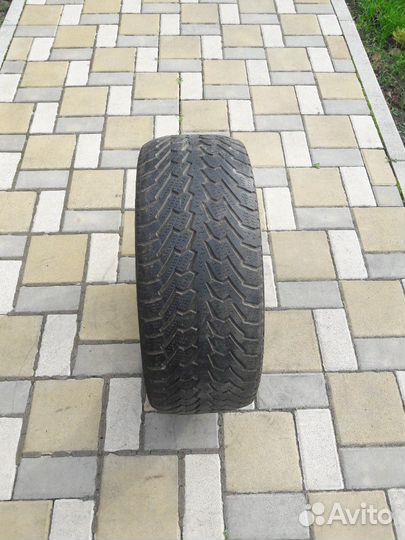 Roadstone Winguard 215/55 R16 98H