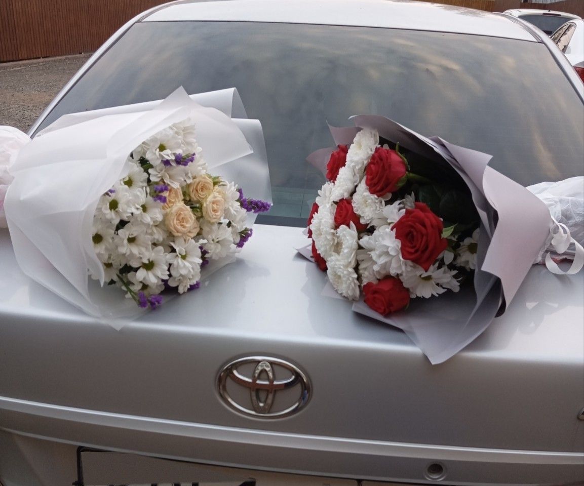 Toyota Corolla: фото владельца