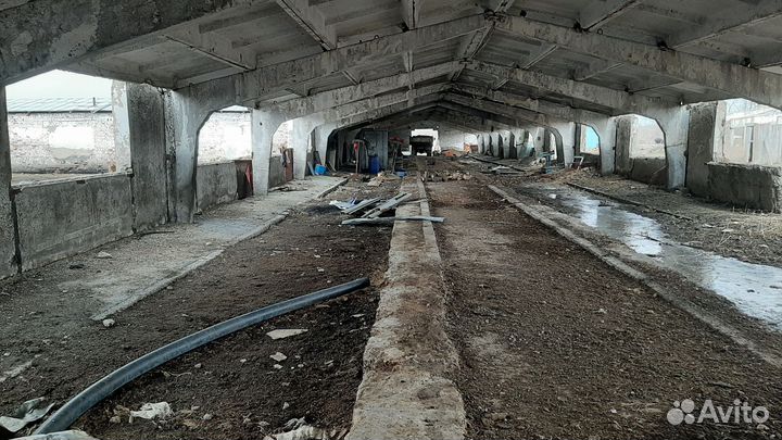 Животноводческая ферма продаю