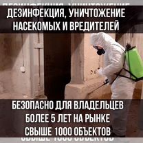 Дезинфекция, уничтожение вредителей\плесени