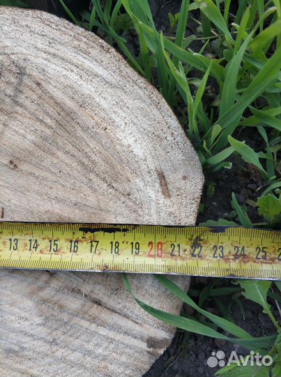 Спилы дерева 22см