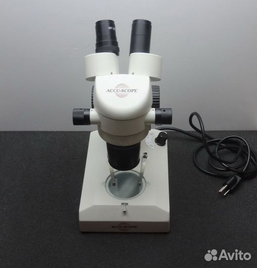 Микроскоп Accu-Scope 3069