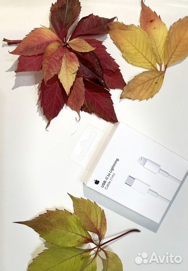 Зарядное устройство на iPhone