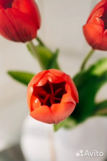 Тюльпаны искусственные
