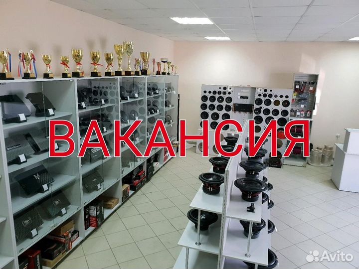 Продавец консультант в магазин автозвука